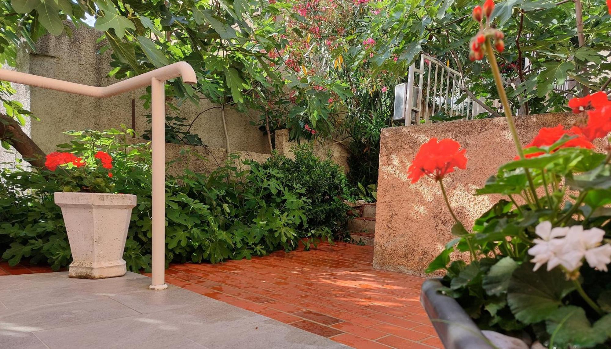 דוברובניק Sunny Getaway Apartments חדר תמונה